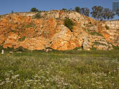 ...riusciamo a scendere sul fondo della cava. Ci ritroviamo immersi nell�erba alta e attorniati da alberi di pesco in fiore e dalla roccia nuda scoscesa alta oltre  30 metri